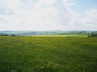 Eastbury Down